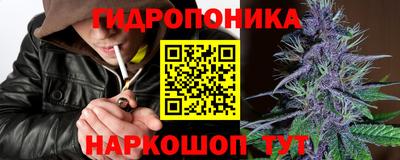 индика Кунгур