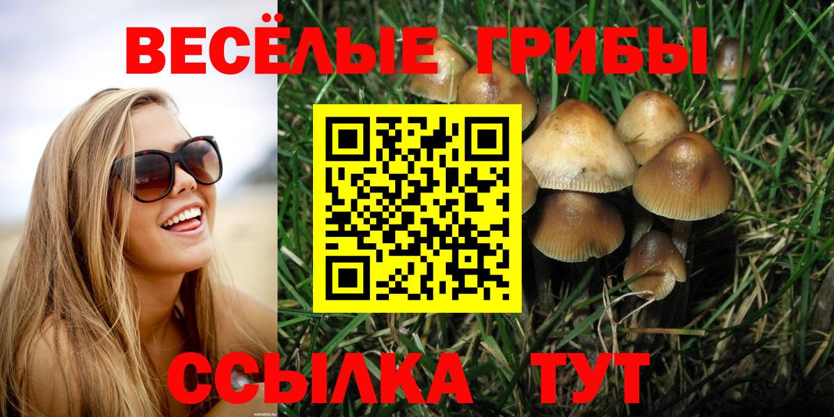 МЕФ Владимир