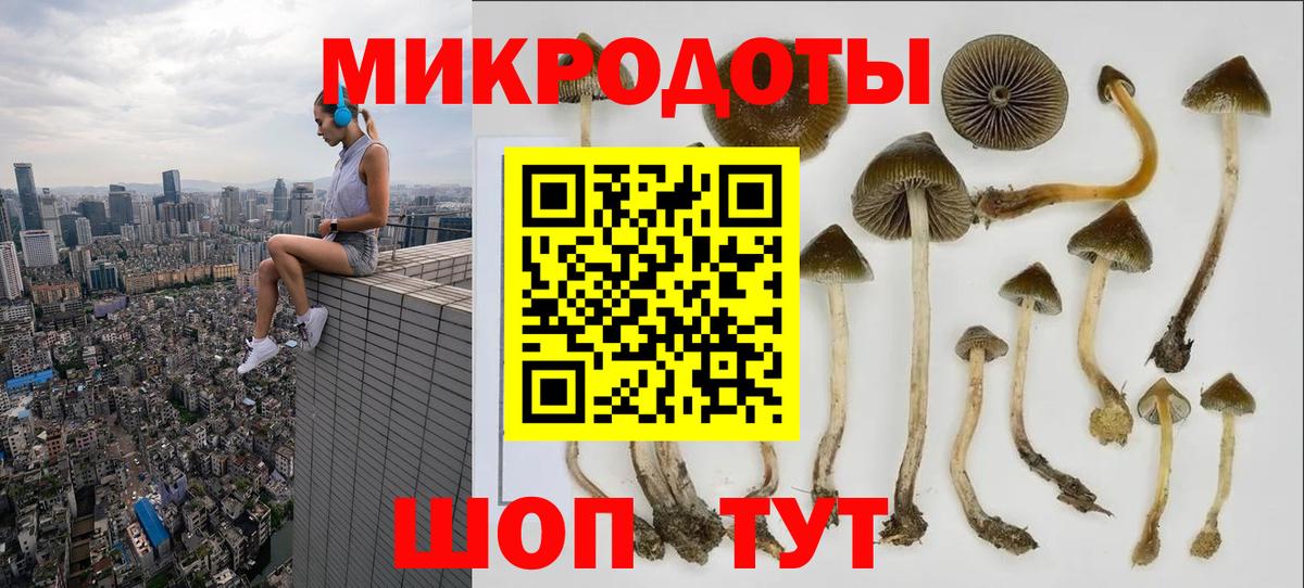 Псилоцибиновые грибы Cubensis  Вход с VPN  Владимир 